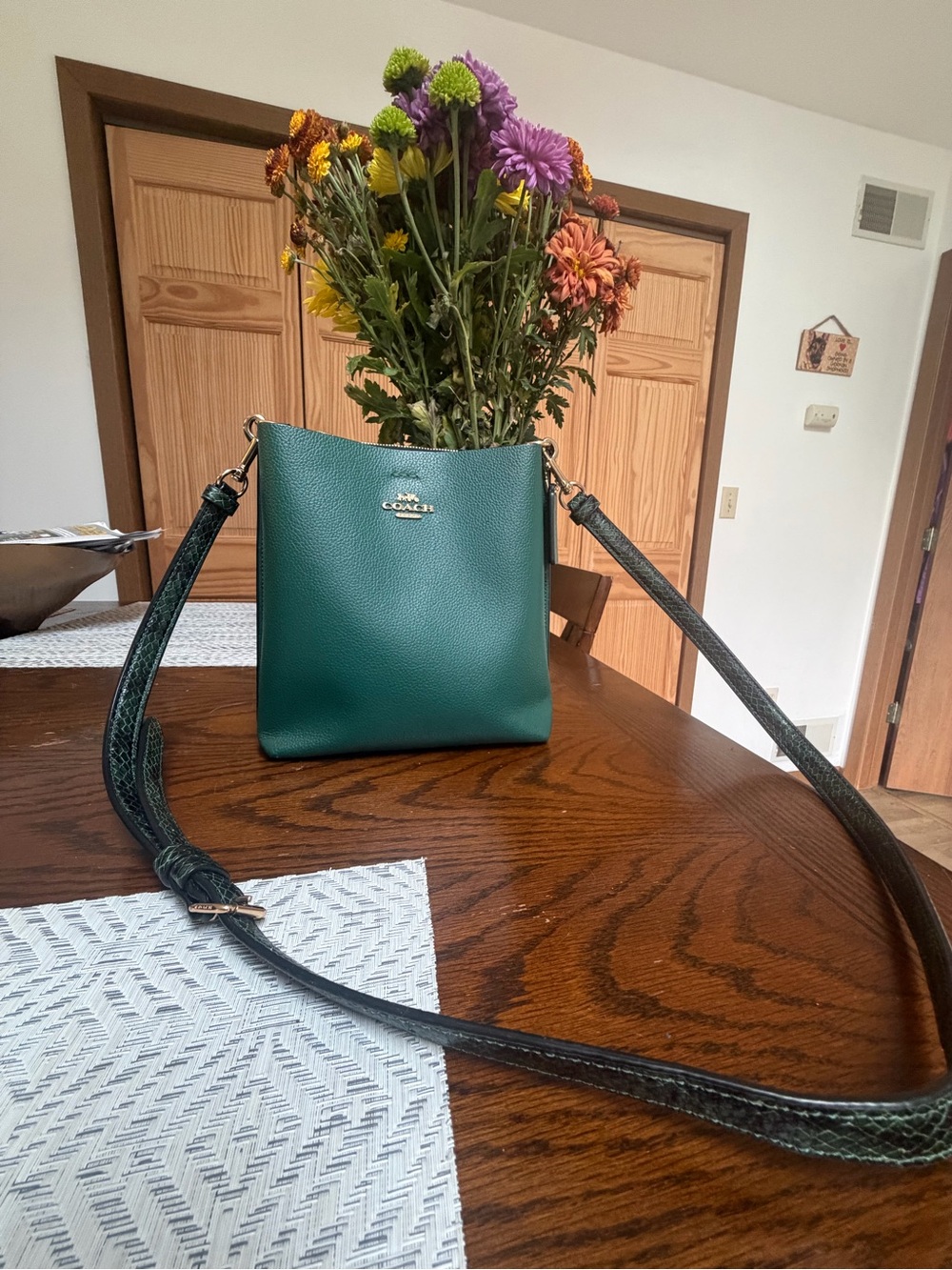Coach Green Pebble Leather Crossbody Bucket Bag with Snake-Print Strap
